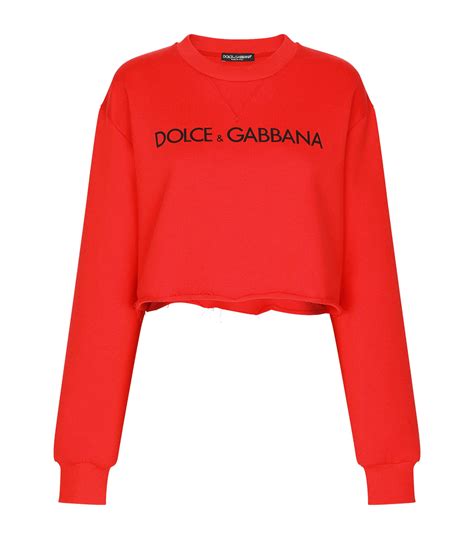 dolce gabbana canelo sweater|dolce and gabbana sweatshirt women.